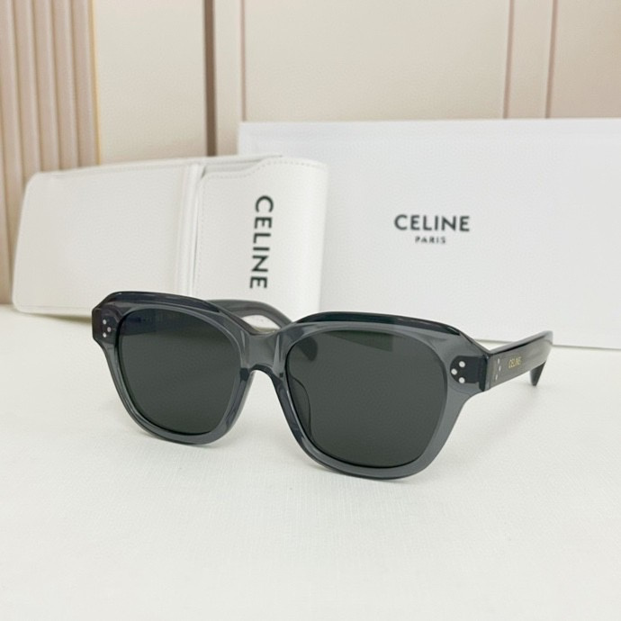 Celine Glasses smx (1178)